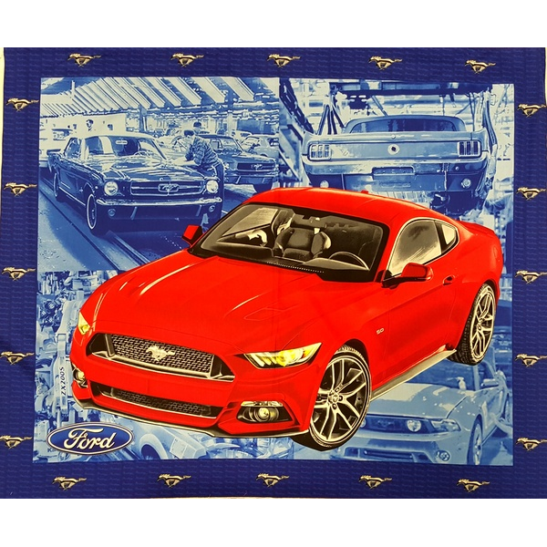 Ford Mustang Panel 2